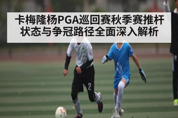 卡梅隆杨PGA巡回赛秋季赛推杆状态与争冠路径全面深入解析
