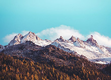 英雄联盟-佩雷拉与浩克决裂后找回自我 如今的上港才叫团队